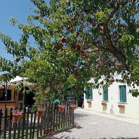Appartamento Malcontenta Mira Exterior foto