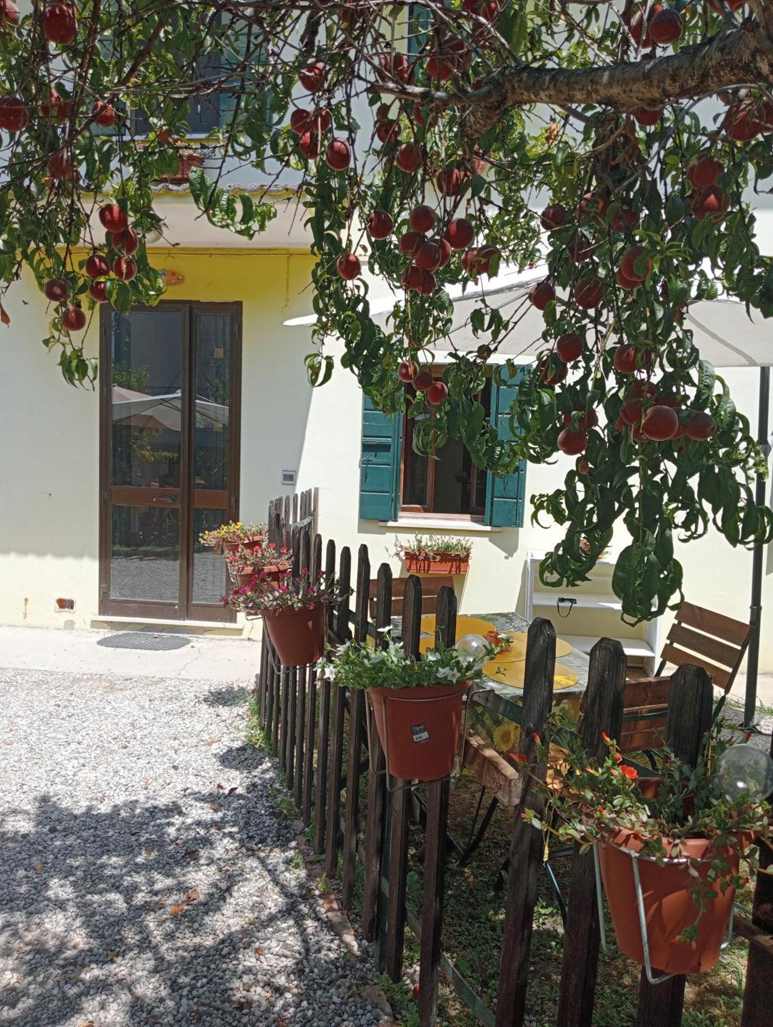 Appartamento Malcontenta Mira Exterior foto