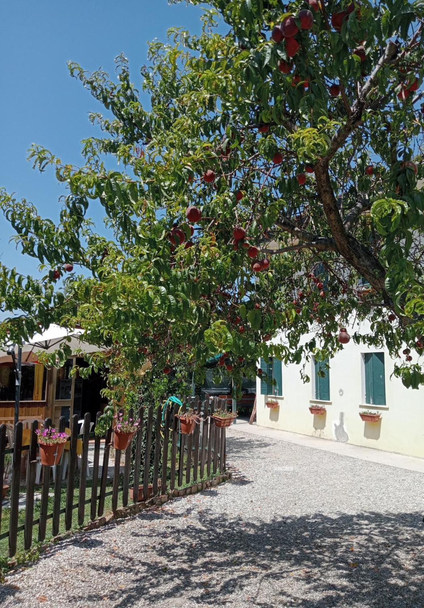 Appartamento Malcontenta Mira Exterior foto